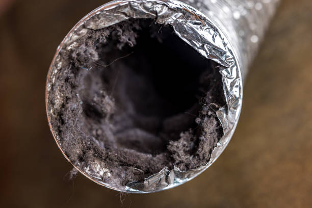 Best Home Air Vent Cleaning  in Milmay, NJ